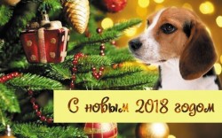 С Новым 2018 Годом!